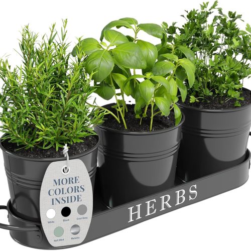 Barnyard Designs Indoor Herb Garden Planter Pots with Tray Set/3 (Black)