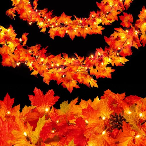 CT0808ZRA1094GT_1 Fall Decorations for Home 9FT Fall Garland with Lights Plug in UL Listed 50 Orange Incandescent Bulbs, Connectable Fall Lights for Indoor Outdoor Halloween Harvest Thanksgivings Holiday Decorations
