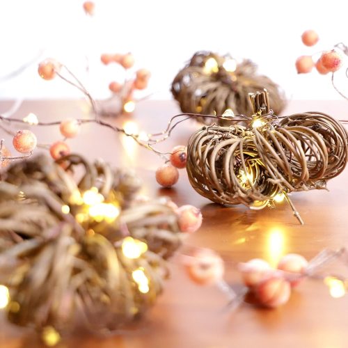 CT0831ZRA716GT_1 MIYA LIFE Nature Rattan Pumpkin Lights - 10FT 30 LED Cozy Fall Garland with Lights Battery Operated Charming Thanksgiving Decorations with Remote - Ideal Thanksgiving Garland Fall Decorations for Home