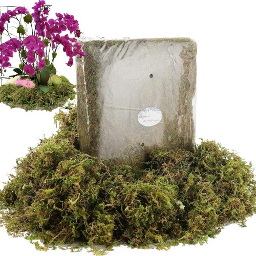 19 OZ Fake Moss for Potted Plants Indoor, Artificial Moss for DIY Crafts, Faux Decroative Moss for Fake Plants Home & Garden Wedding Decor (Fresh Green - 540gr)