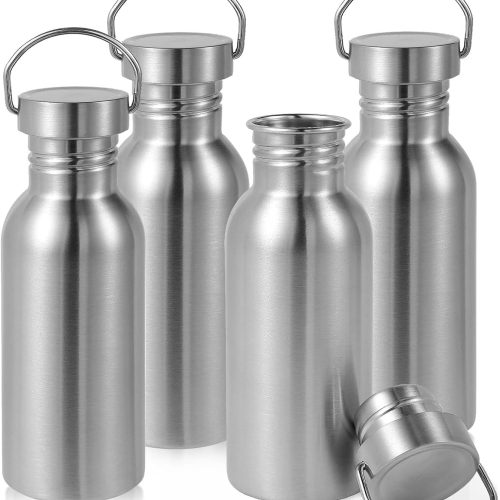 20oz Uninsulated Stainless Steel Water Bottle with Handle, 4-Pack